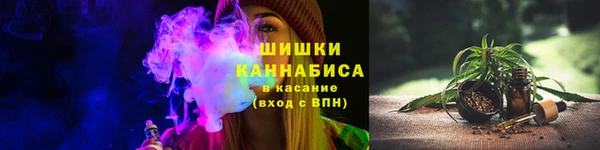 мдпв Верхний Тагил