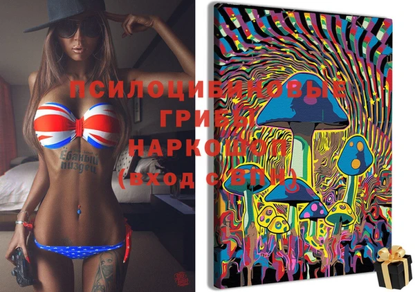мдпв Верхний Тагил