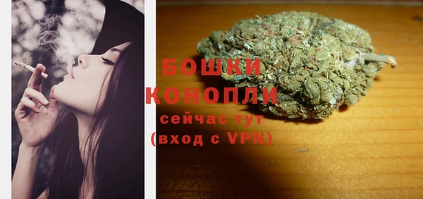 мдпв Верхний Тагил