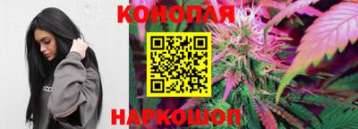 гашик Донецк