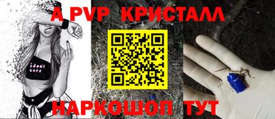 PSILOCYBIN Донской