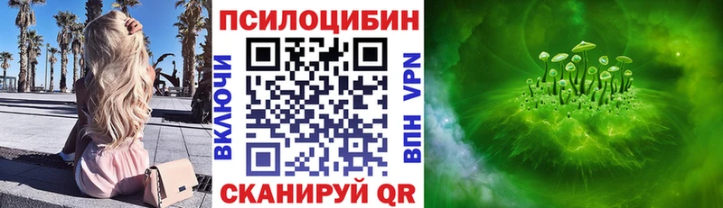 Галлюциногенные грибы мицелий  наркота  Медногорск 