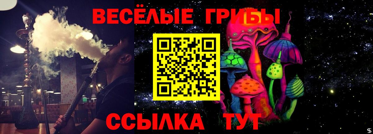 Псилоцибиновые грибы Cubensis  Вход с VPN  Медногорск 