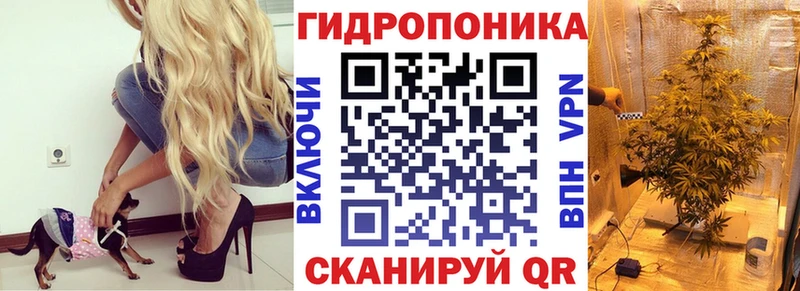где продают наркотики  Медногорск  Бошки Шишки сатива 